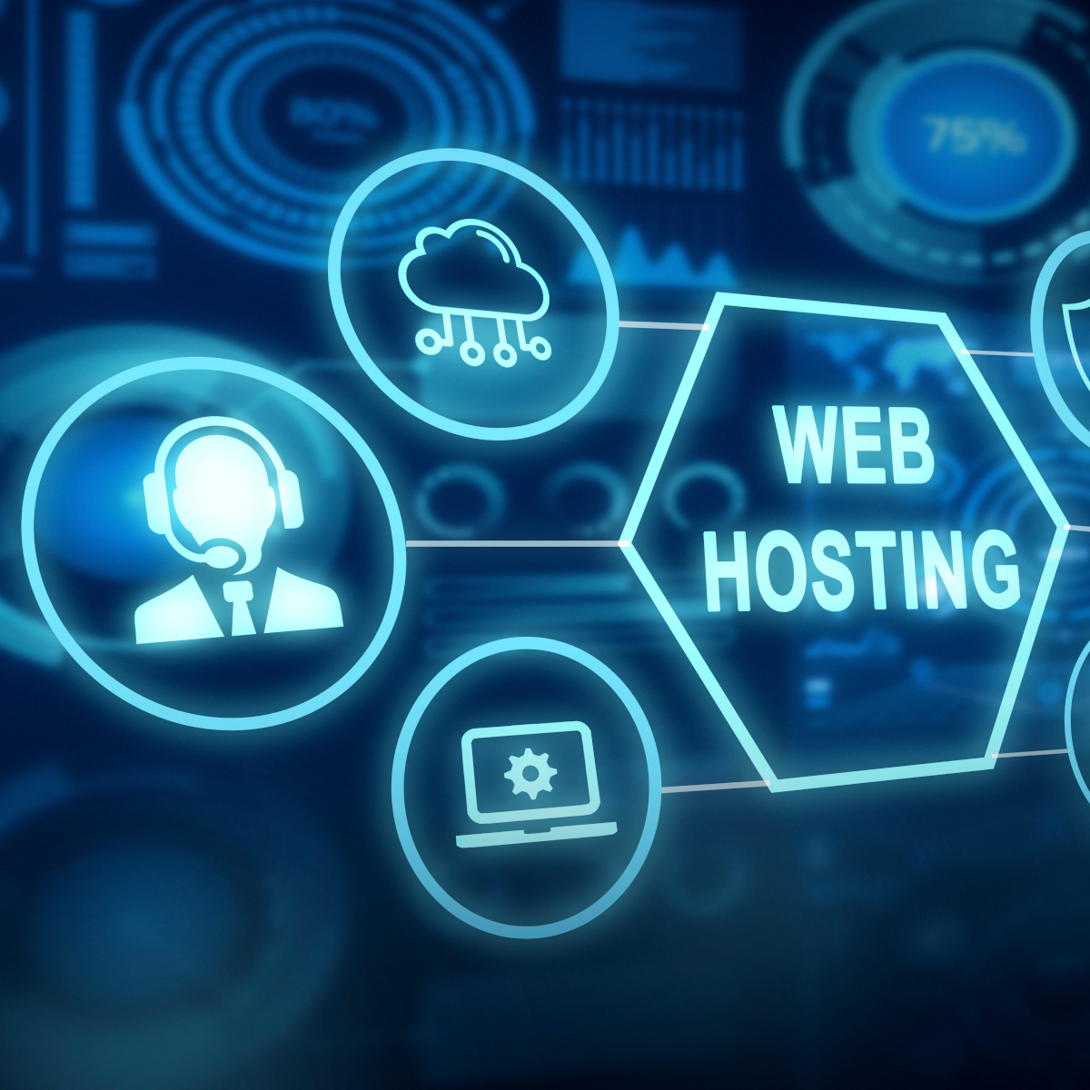 Web Hosting